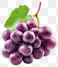 PNG Purple grape grapes fruit photography.