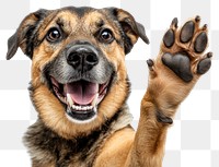 PNG Happy dog waving its paw animal pet electronics.