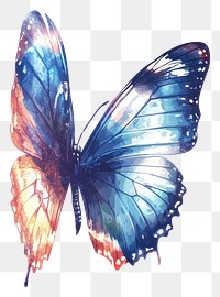 PNG Beautiful butterfly with blue wings illustration art invertebrate.