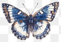 PNG Blue butterfly illustration insect art.