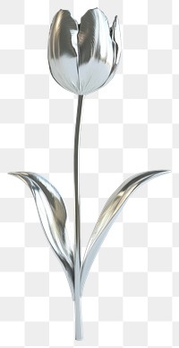 PNG Real tulip metallic flower silver.