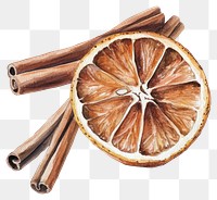 PNG Dried orange and cinnamon sticks illustration spice art.