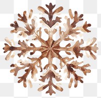 PNG Wooden Snowflake illustration watercolor snowflake.