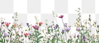 PNG Wild flowers filed border illustration nature spring.