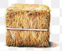 PNG Hay Bale hay illustration texture.