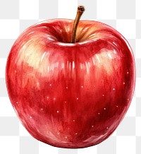 PNG Red Apple apple illustration watercolor.