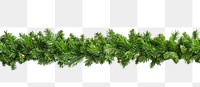 PNG Christmas pine leaves christmas white green.