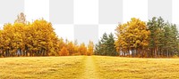 PNG Real park dirt path autumn landscape outdoors.