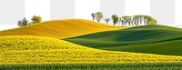 PNG Hilly spring fields countryside landscape scenery.