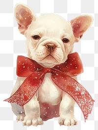 PNG Cute cream Bulldog dog bulldog illustration watercolor.