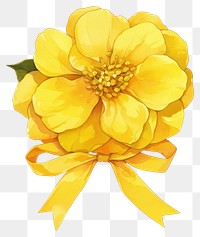 PNG Yellow coquette Camellia petal petals illustration flower.