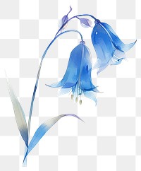 PNG A baby blue bell illustration watercolor flower.