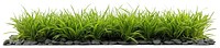 PNG Short green grass border outdoors vegetation decorative.