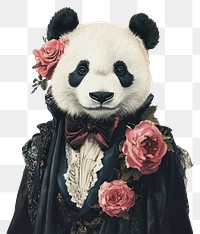 PNG Panda costumes wearing victorian fashion outfit animal human illustration.