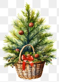 PNG Christmas tree basket decoration plant. 