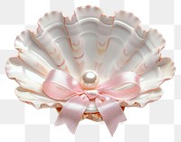 PNG Coquette white clam with a pearl ribbon pink invertebrate.