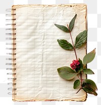 PNG Cottagecore notebook paper leaves pages leaf.