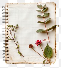 PNG Cottagecore notebook paper art flowers leaf.