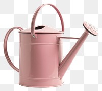 PNG Cottagecore cute watering can tin gardening accessory.