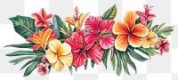 PNG Tropical ornament frame hibiscus flowers leaf.