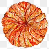 PNG An isolated kimchi illustration watercolor vibrant.