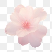 PNG Cherry Blossom flat shape Y2k Aura Wallpaper blossom background wallpaper.