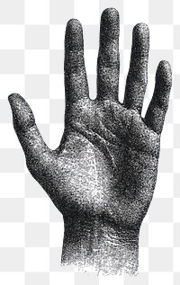 PNG Hand retro photocopy stipple effect drawing art illustration.