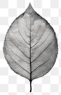 PNG Leaf retro photocopy stipple effect white illustration monochrome.