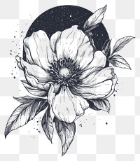 PNG Flowers illustration background drawing.