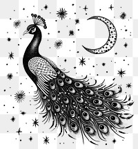 PNG Celestial illustration of Peacock with Comets peacock details white.