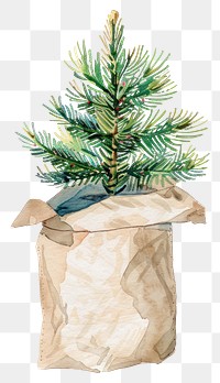 PNG A Pine tree in a paper bag christmas illustration watercolor.