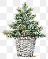 PNG A Pine tree in a silver basket illustration christmas festive.