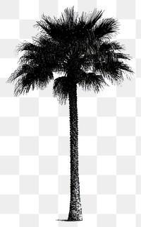 PNG Palm tree retro photocopy stipple effect silhouette isolated white.