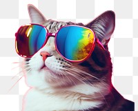 PNG Cat wearing sunglasses mammal animal pet. 