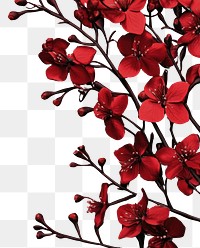 PNG A christmas red flower branch bottom border flowers red flowers arrangement.