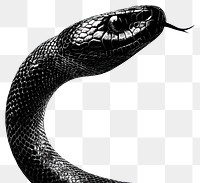 PNG Snake retro photocopy stipple effect reptile illustration detailed.