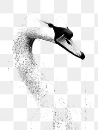 PNG Swan retro photocopy stipple effect bird illustration minimalist.