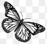 PNG Monarch Butterfly butterfly drawing black.