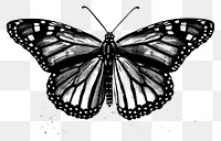 PNG Monarch Butterfly butterfly drawing black.