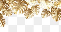 PNG Gold monstera leaves border leaf background accessories.