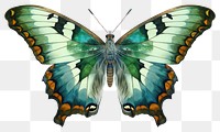 PNG Illustration of butterfly insect art invertebrate.