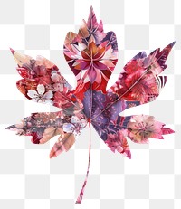 PNG Flower Collage maple leaf illustration art chandelier.