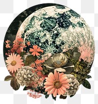 PNG Flower Collage planet flowers illustration elements.