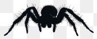 PNG Spider silhouette background arachnid white.