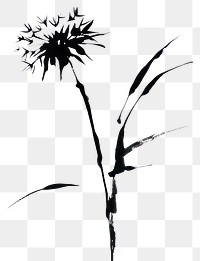 PNG Dandelion flower black white.