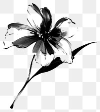 PNG Dendilion flower drawing sketch black.