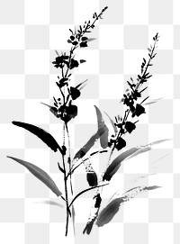 PNG Herbs black white style.