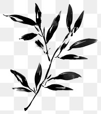 PNG Olive branch black leaf art.