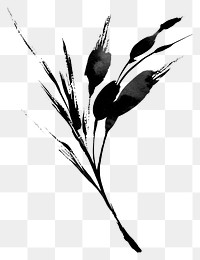 PNG Salad drawing black white.