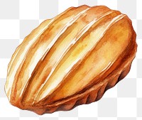 PNG Madeleine pastry illustration watercolor.